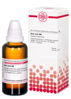 UVA URSI D 6 Dilution