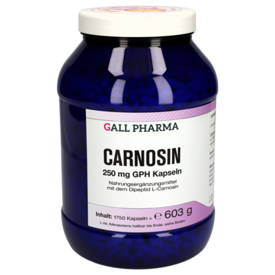 CARNOSIN 250 mg GPH Kapseln