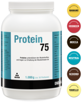 PROTEIN 75 Schoko Pulver