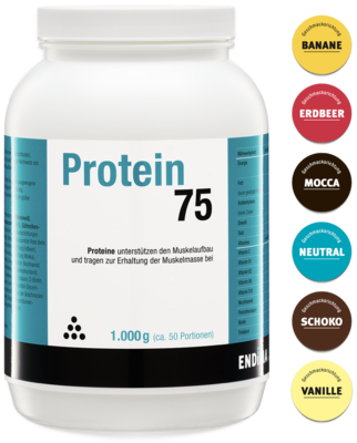 PROTEIN 75 Schoko Pulver