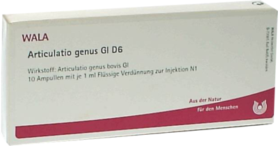 ARTICULATIO genus GL D 6 Ampullen