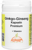 GINKGO+GINSENG Premium Kapseln