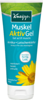 KNEIPP Muskel Aktiv Gel