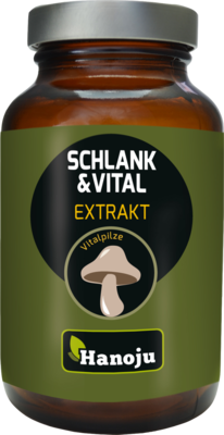 SCHLANK UND Vital 400 mg Kapseln