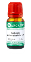 AMBROSIA ARTEMISIAEFOLIA LM 45 Dilution