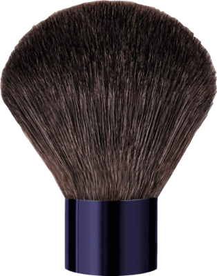 DR.HAUSCHKA Kabuki Brush