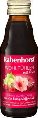 RABENHORST Wohlfühlen mit Eisen mini Saft